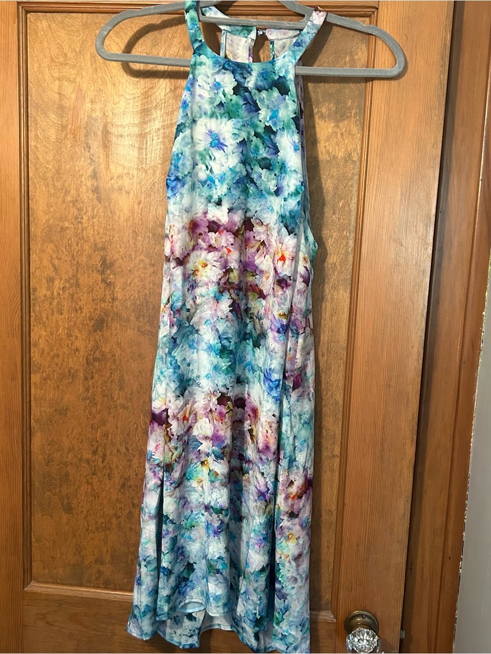 charlie jade Blue Multicolor Floral Dress